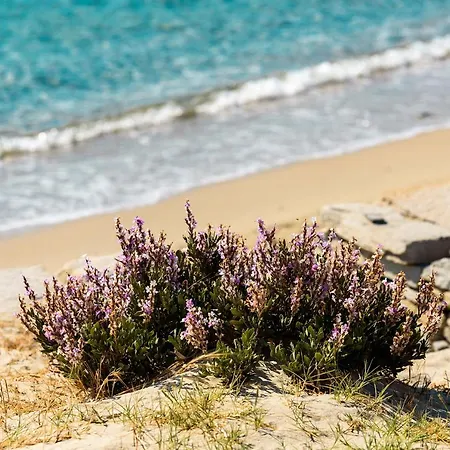 Villa Katikia Malatesta Kolympithres