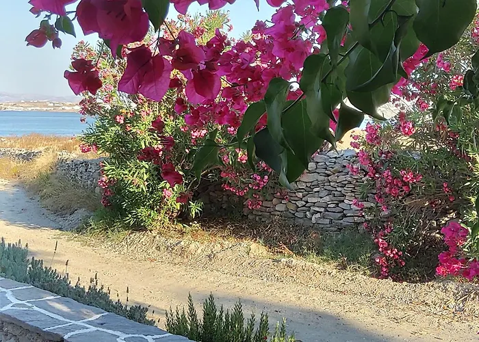 Katikia Malatesta * Kolympithres